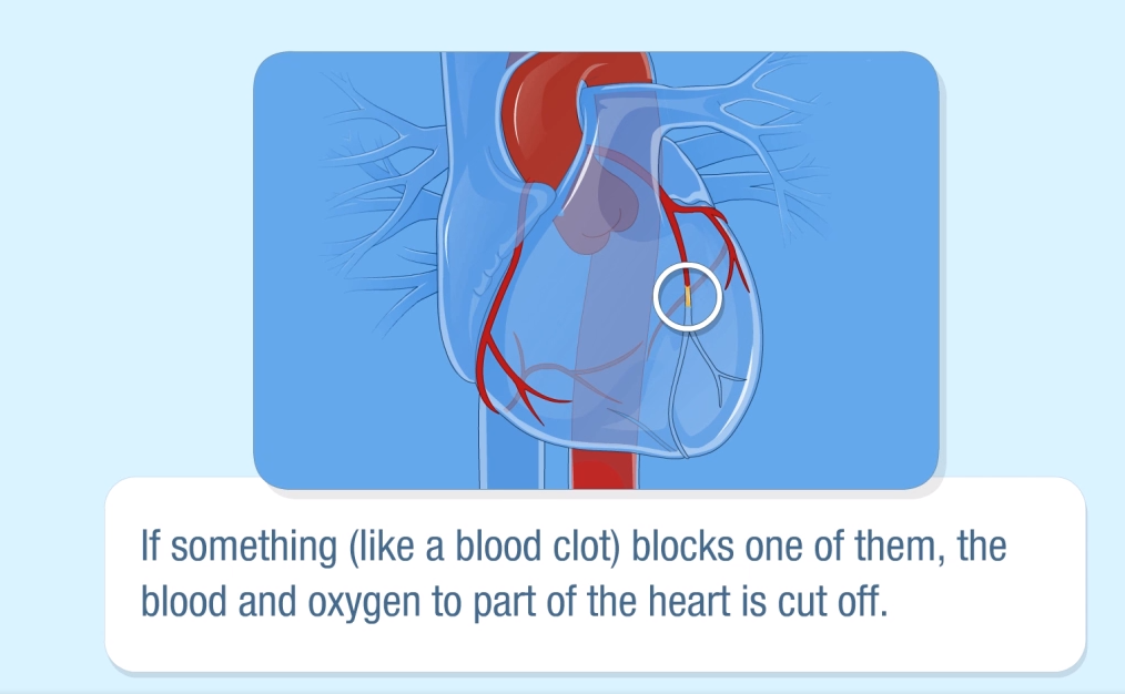 Medications Video